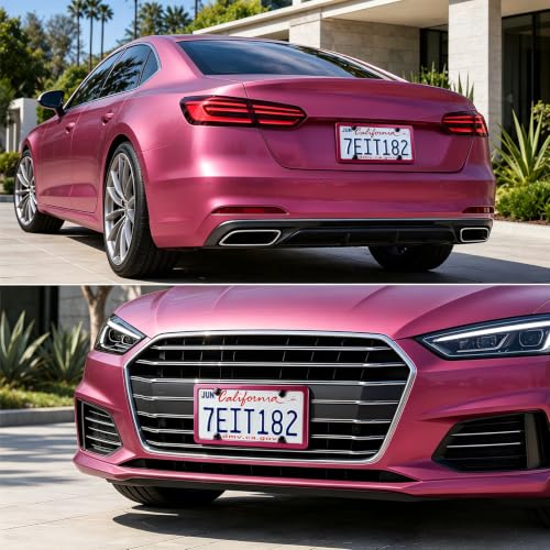 4 Holes Stainless Steel License Plate Frames (Hot Pink)