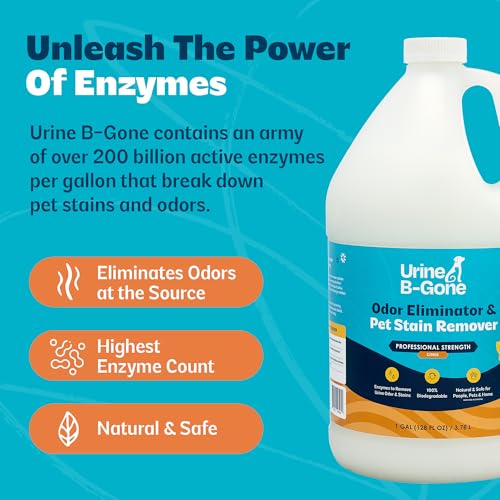 Urine B Gone Enzyme Cleaner for Human (128 Fl Oz (Pack of 1))