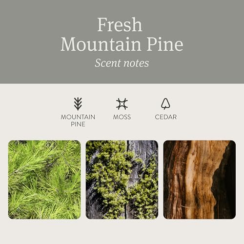Car Air Freshener