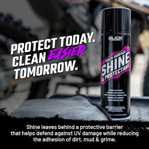 Shine & Protectant High Gloss Coating Spray (17.35 Fl Oz (Pack of 1))