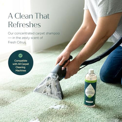 Carpet Cleaner Solution