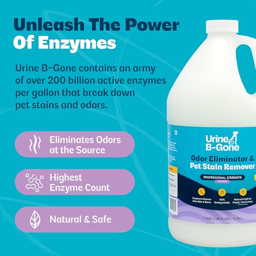 Urine B Gone Enzyme Cleaner for Human (128 Fl Oz (Pack of 1))