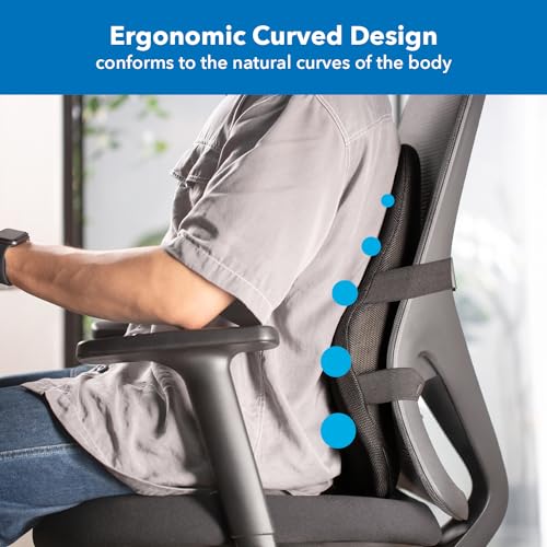 Office Chair Cushion (Large)