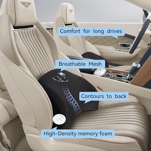 Lumbar Support Pillow for Car (Backsaver-five)