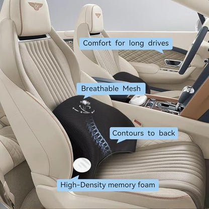 Lumbar Support Pillow for Car (Backsaver-five)