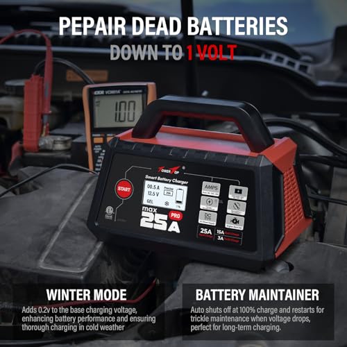25A Max Pro Battery Charger (25A Max Pro)