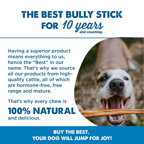 12 Inch Bully Sticks for Dogs (50 Count (Pack of 1))