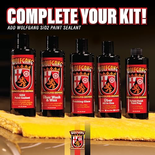SiO2 Paint Sealant
