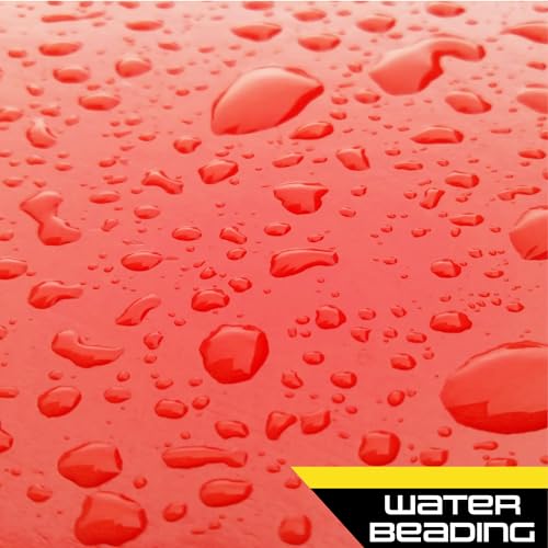 Carnauba Car Wax Liquid (16 Fl Oz (Pack of 1))