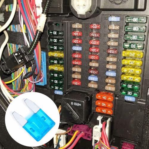 100 Pack Auto Fuses 15 AMP APM (15 AMP)