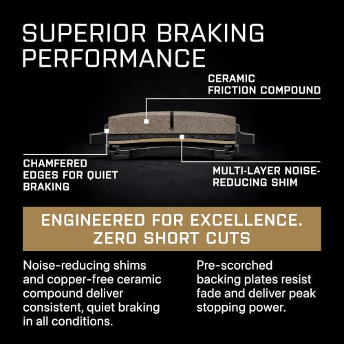 Premium Rear Brake Pads for 17 (BP1901-C)