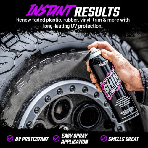 Shine & Protectant High Gloss Coating Spray (17.35 Fl Oz (Pack of 6))
