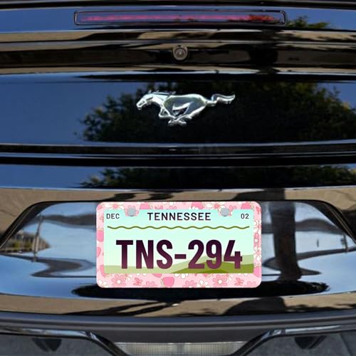 2Pcs Pink Strawberry Butterfly Floral License Plate Frame Stainless Steel License Plate Frames Holder Covers Rust (Pink Butterfly Strawberry floral)