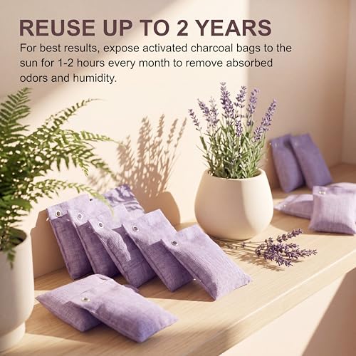 24 Pcs Activated Charcoal Odor Absorber 50g (Purple)
