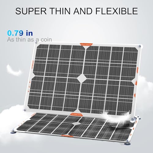20W 12V Solar Trickle Charger Maintainer for Vehicle Batteries (20W)