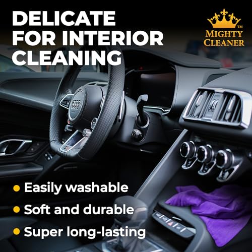 Premium Shammy Cloth for Car Drying (Purple, Blue, Mint)