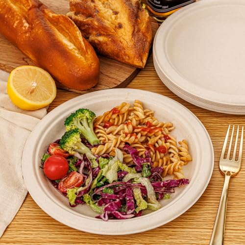 Paper Plates 9 Inch 125 (Natural / 9Inch（125 PCS）)