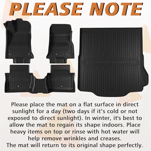 Floor Mats & Trunk Mat for 2026 2025 2024 Dodge Charger EV (Charger EV | 2024+)