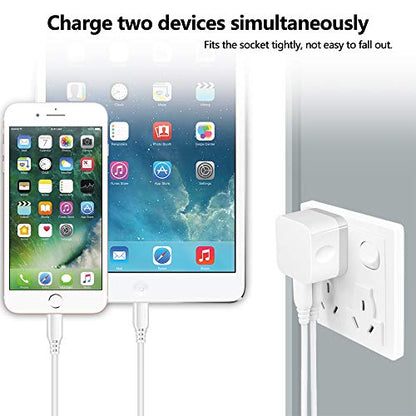 Dual USB Wall Charger (white#)