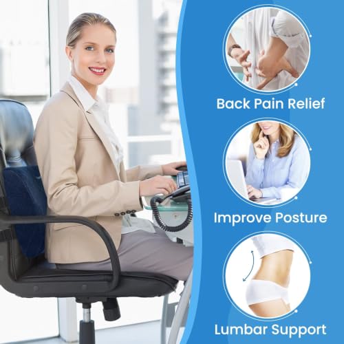 Lumbar Support Pillow for Office Chair (Blue)