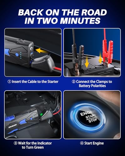 6000A Car Battery Jump Starter Up to All Gas & 12L Diesel Engine (6000A)
