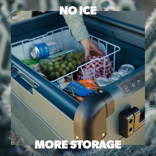 CFX2 45L Electric Cooler (CFX2 -45L)