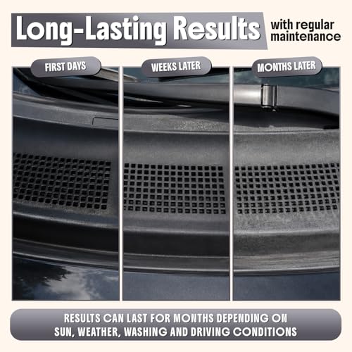 Ultimate Trim & Plastic Restorer for Cars (8.4 fl oz)