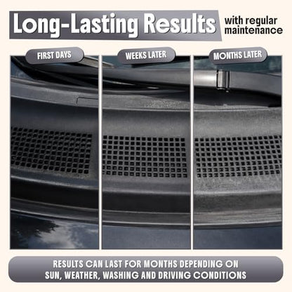 Plastic Restorer for Cars (Plastic Restorer - 16 oz)