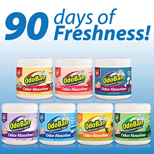 Solid Odor Absorber Eliminator for Home and Small Spaces (14 Ounce (Pack of 3))