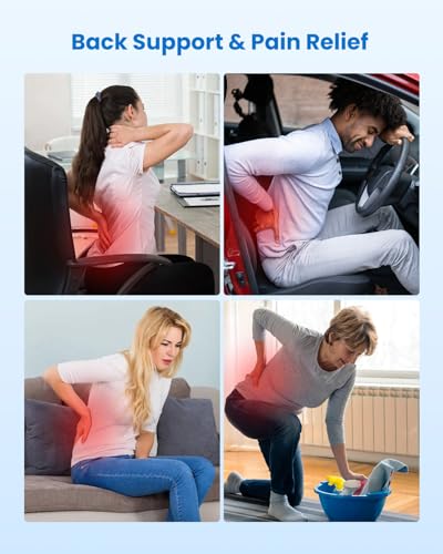 Lumbar Support Pillow for Office Chair (Classic Gray)