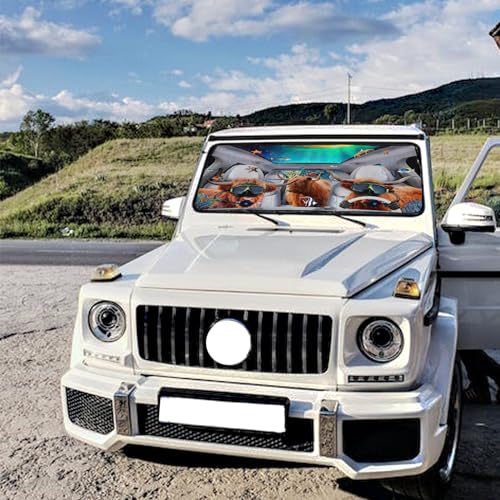 Funny Cow Car Windshield Sun Shade Umbrella Car Sunshade Cow Car Accessories Blocks Uv Rays Keeps Car Cool Sun Shade Car Windshield Cover Blocks UV Rays Automotive (One Size / Funny Cow)