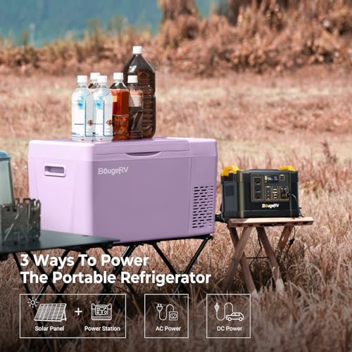 12v refrigerator 23 Quart (23 Quart / Purple)