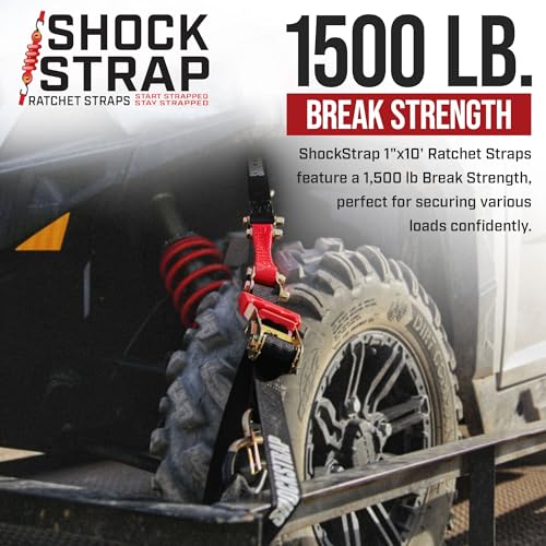 Ratchet Strap (2 Pack / 10' x 1")