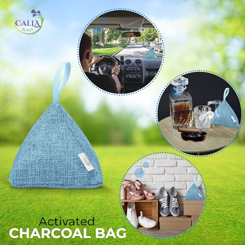 4 Pack Bamboo Charcoal Air Purifier Bags 200 Grams Each (Designer Colors)