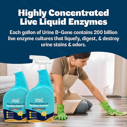 Urine B Gone Enzyme Cleaner for Human & Pet Urine (32 Fl Oz (Pack of 2))