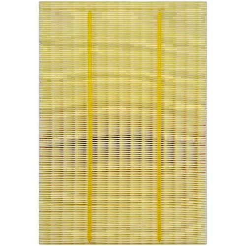 for Engine Air Filter JM5303 Fits for Ram 1500 (13.78" x 9.33" x 2")