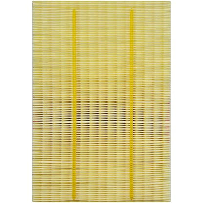 for Engine Air Filter JM5303 Fits for Ram 1500 (13.78" x 9.33" x 2")