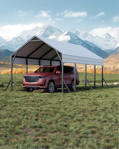 13 ft x21 ft x11 ft Oversized Metal Carport (White / 13x21 FT)