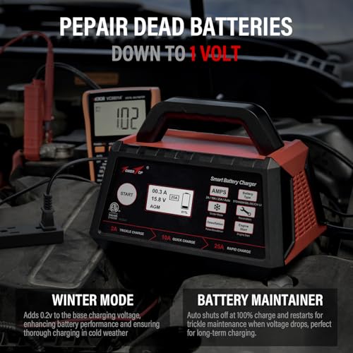 2/10/25 Amp 12V Smart Car Battery Charger, Fully Automatic Battery Maintainer with Engine Start, Auto Desulfator, Battery Repair, Winter Mode, for AGM, STD, Gel, Deep Cycle Batteries (25A)