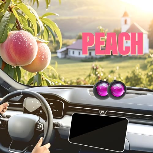 Car Air Freshener Vent Clips