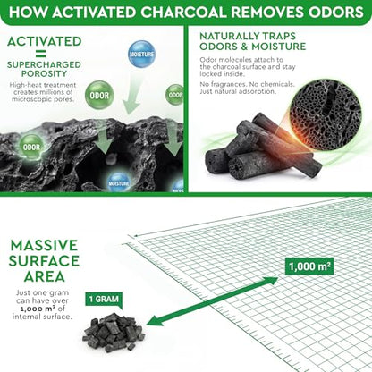 Activated Charcoal Odor Absorber for Strong Odors in Car