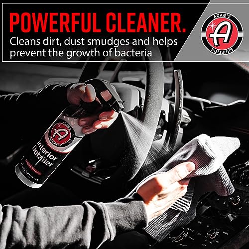 Interior Detailer 16oz (16 Fl Oz (Pack of 1))