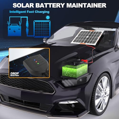 20W 12V Solar Trickle Charger Maintainer for Vehicle Batteries (20W)