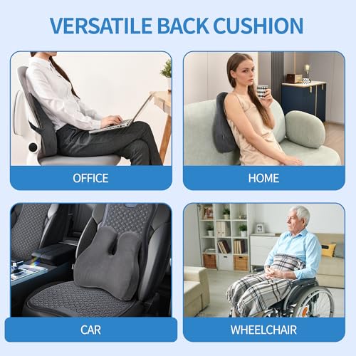 Lumbar Support Pillow for Office Chair (Gray-gel / Standart)