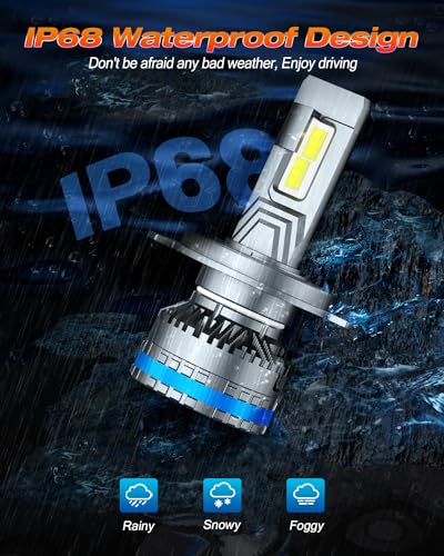 2026 H4 9003 HB2 Light Bulbs (H4/9003)