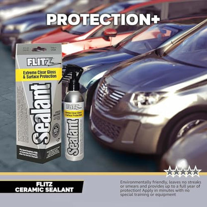 Ceramic Sealant (Single)
