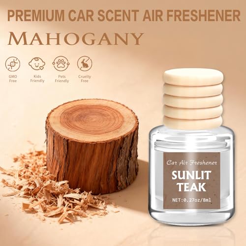 6 Pack Car Air Freshener