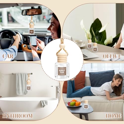 6 Pack Car Air Freshener