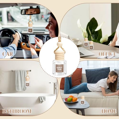 6 Pack Car Air Freshener