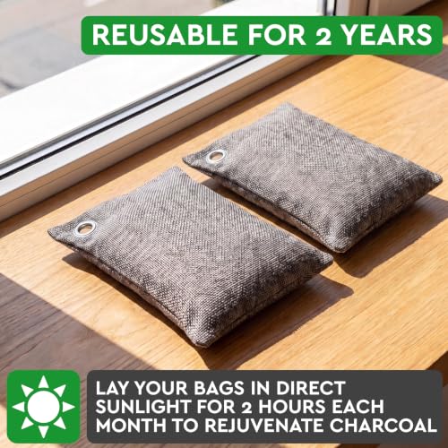 Activated Charcoal Odor Absorber for Strong Odors in Car